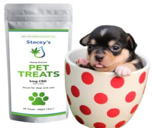 CBD for Dogs and other Pets: How It can Benefit our Furry Family Member